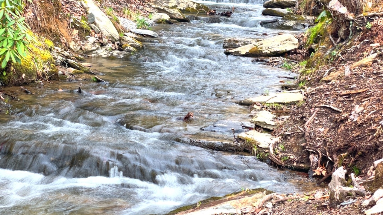 Photo of Others in Black Mountain
