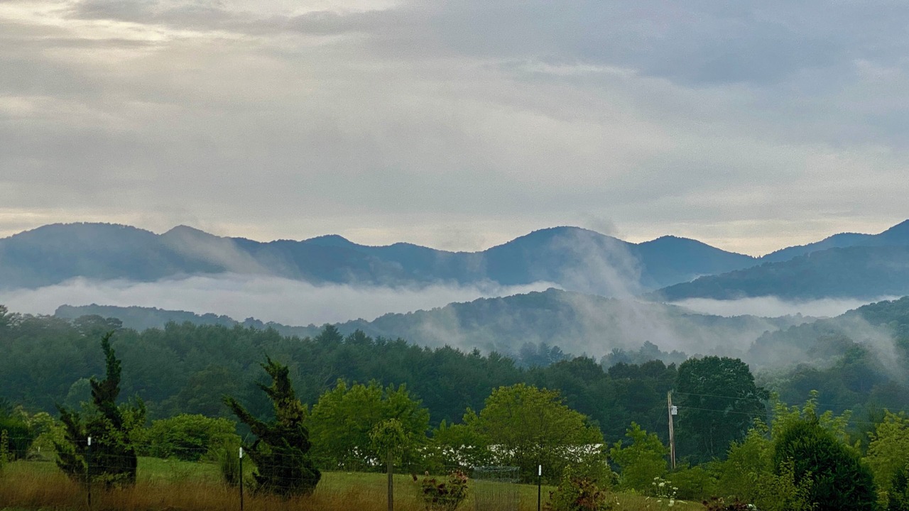 Photo of Outdoor in Candler