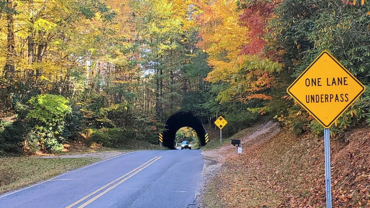 Photo of Others in Spruce Pine