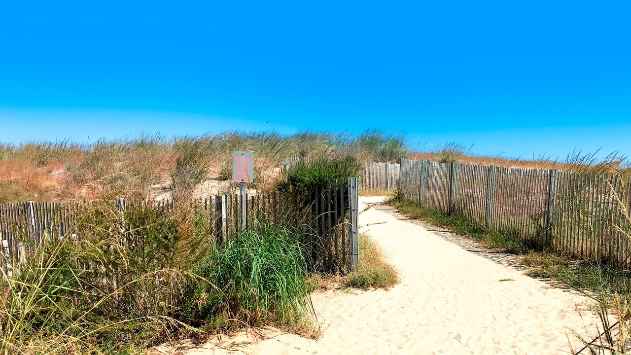 Photo of Outdoor in North Ocean City