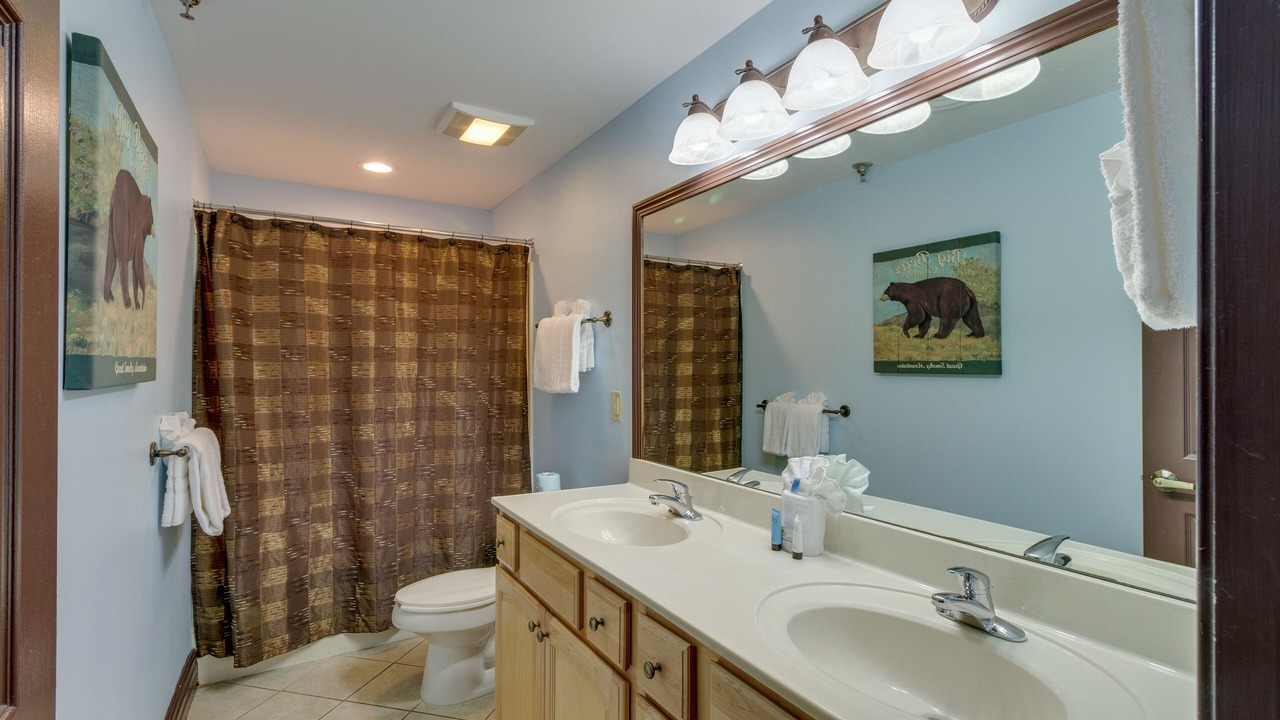 Photo of Bathroom in Gatlinburg
