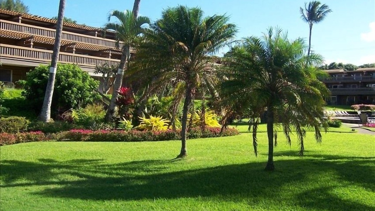 Photo of Others in Kahana