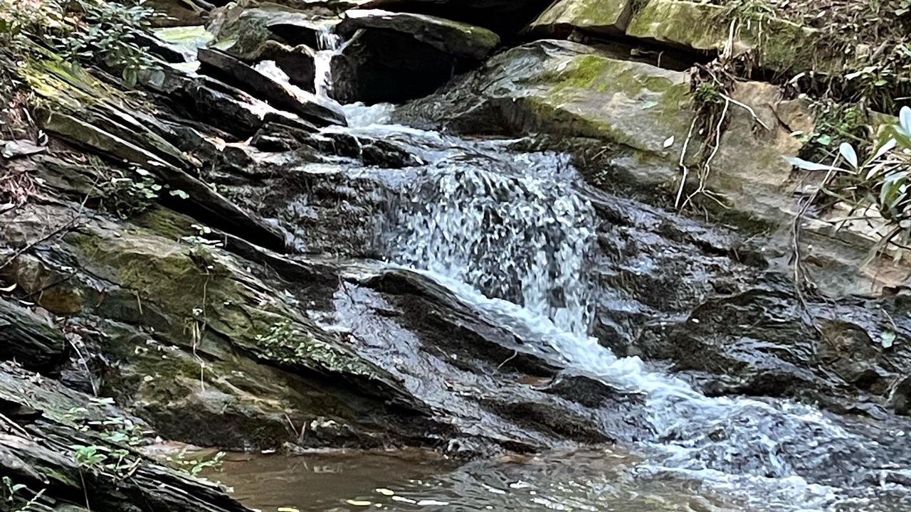 Photo of Outdoor in Ellijay