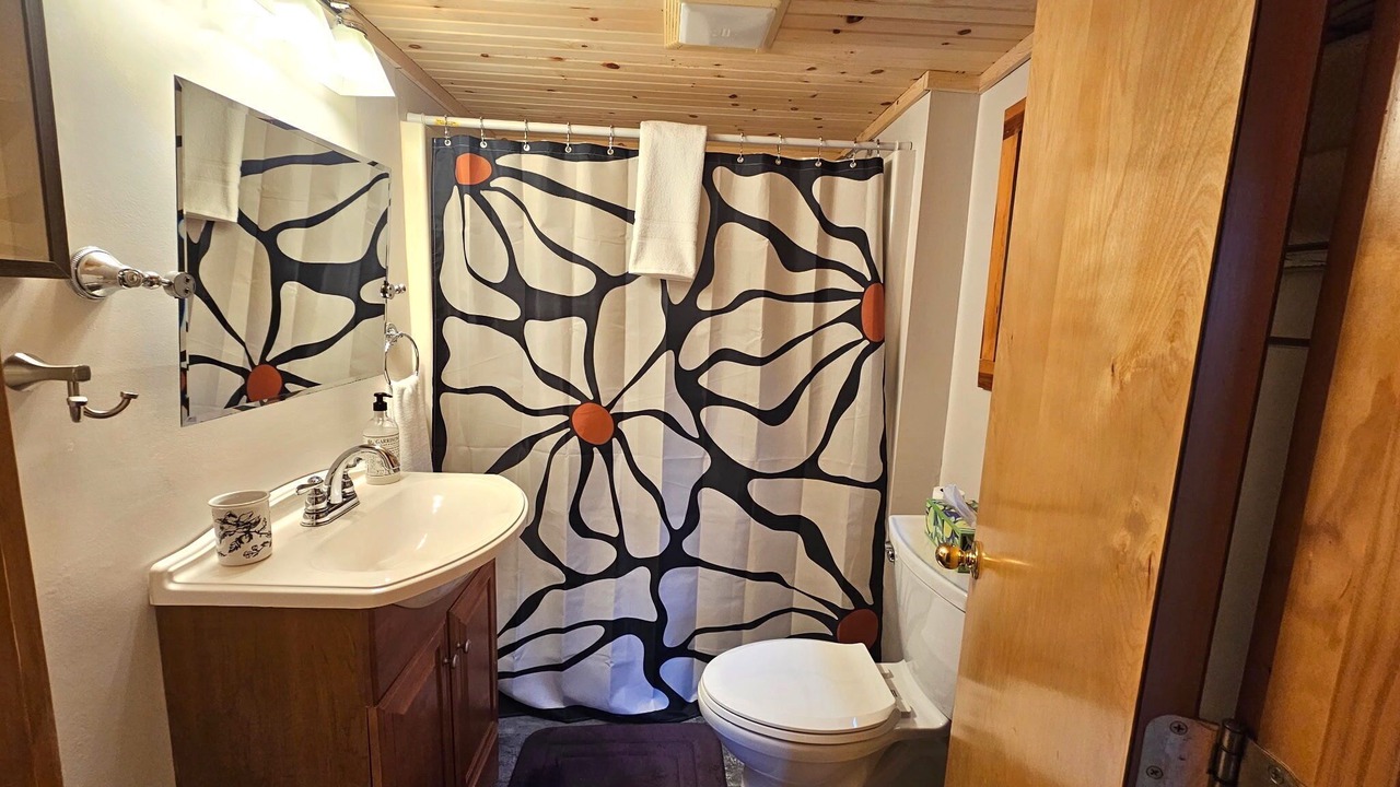 Photo of Bathroom in Davis