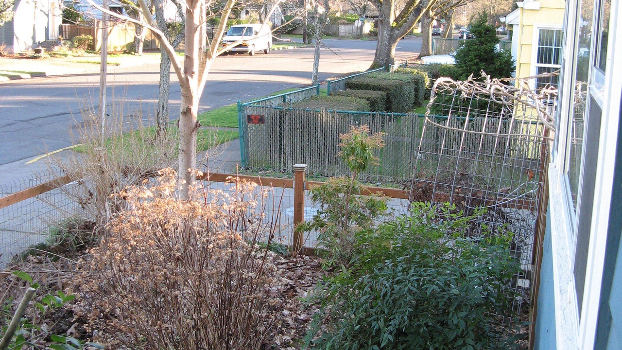 Photo of Outdoor in West Eugene