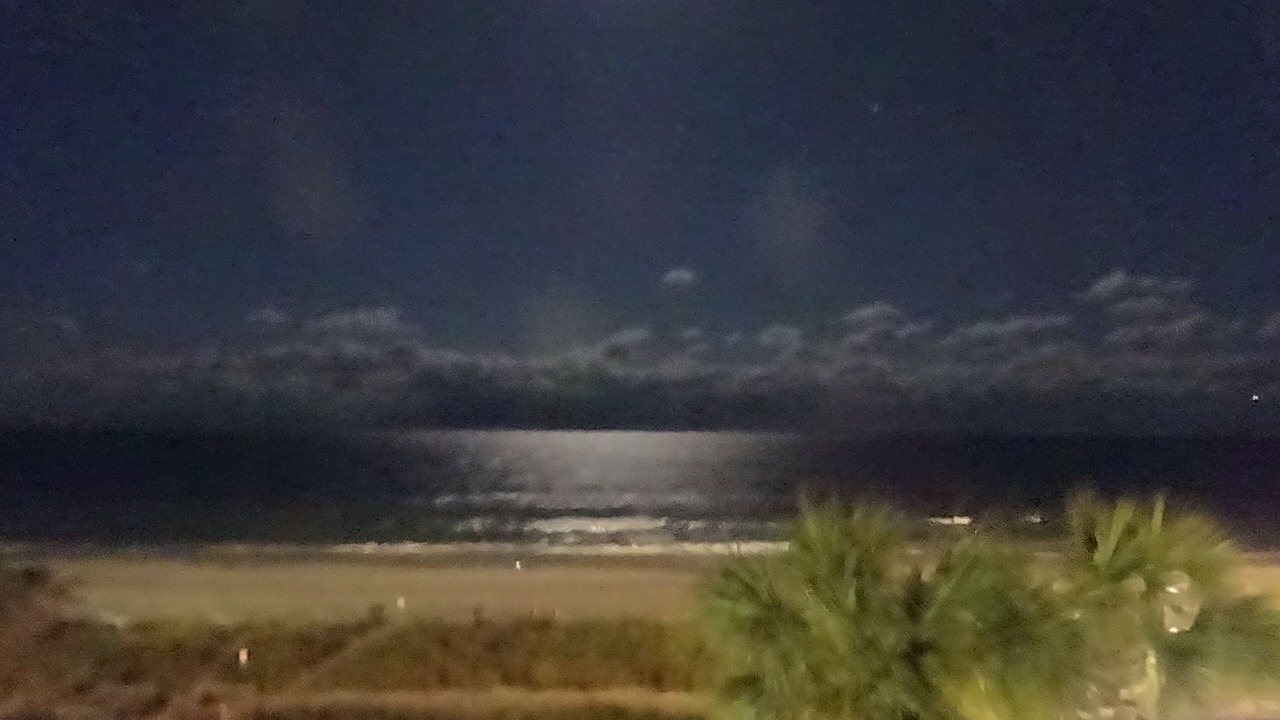 Photo of Others in Myrtle Beach