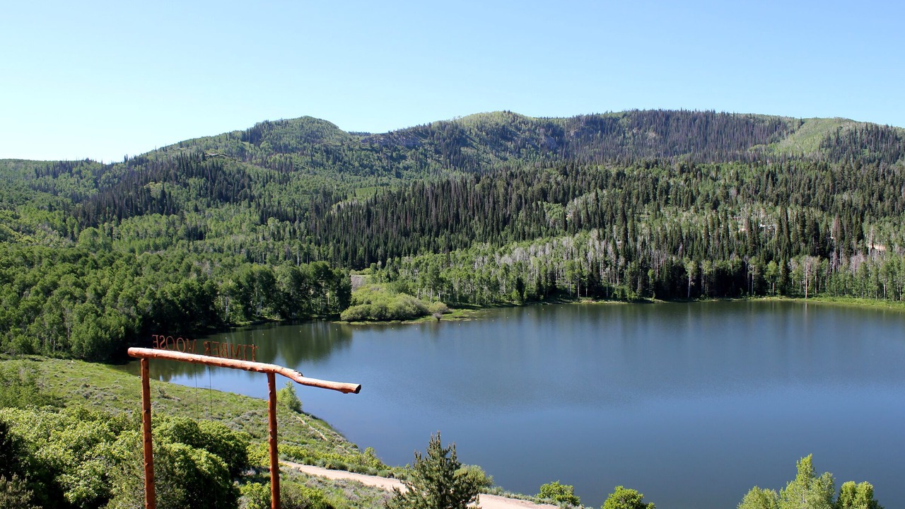 Photo of Outdoor in Timber Lakes