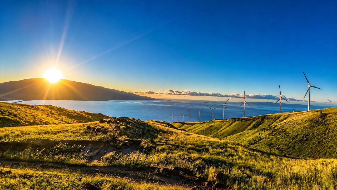 Photo of Outdoor in Maalaea