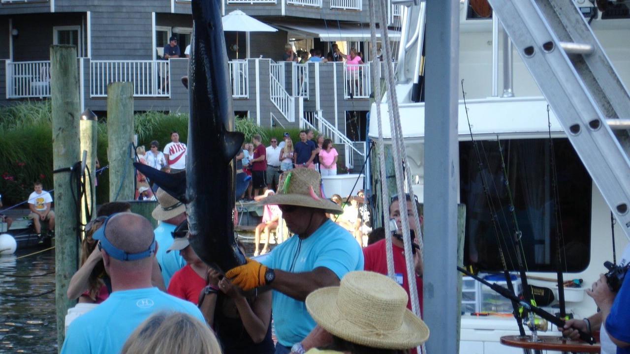 Photo of Others in Ocean City