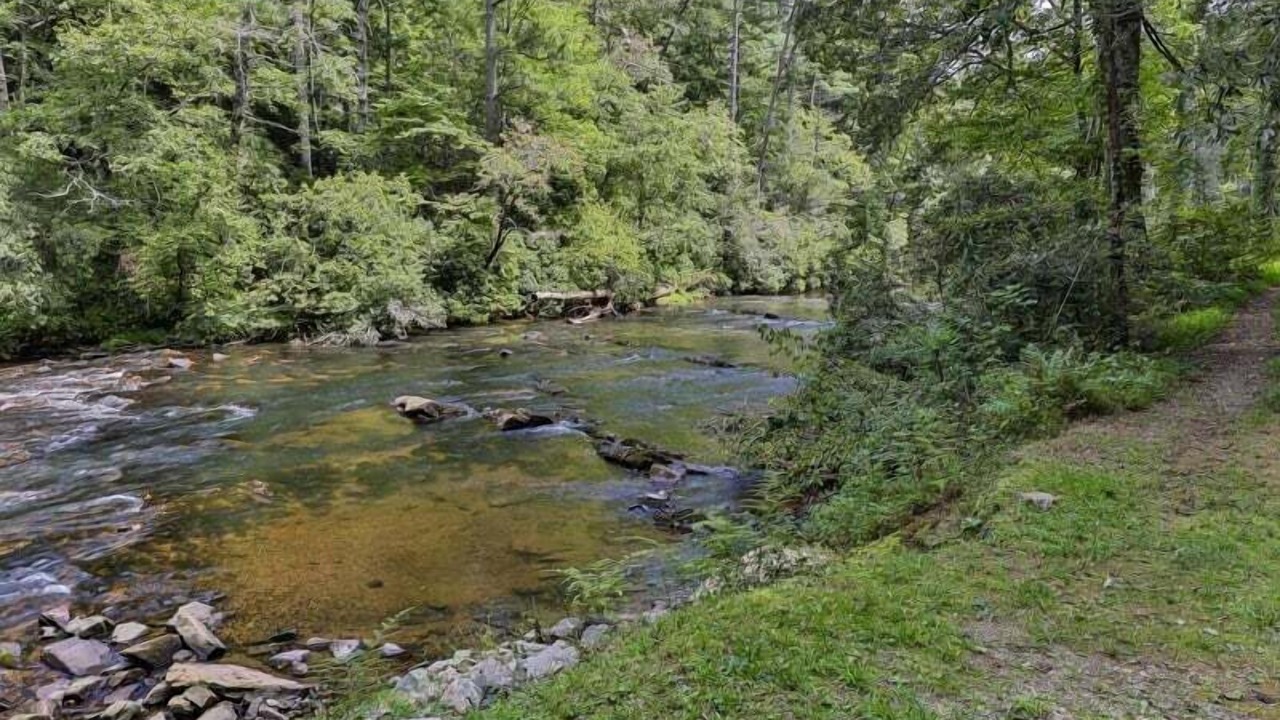 Photo of Others in Ellijay