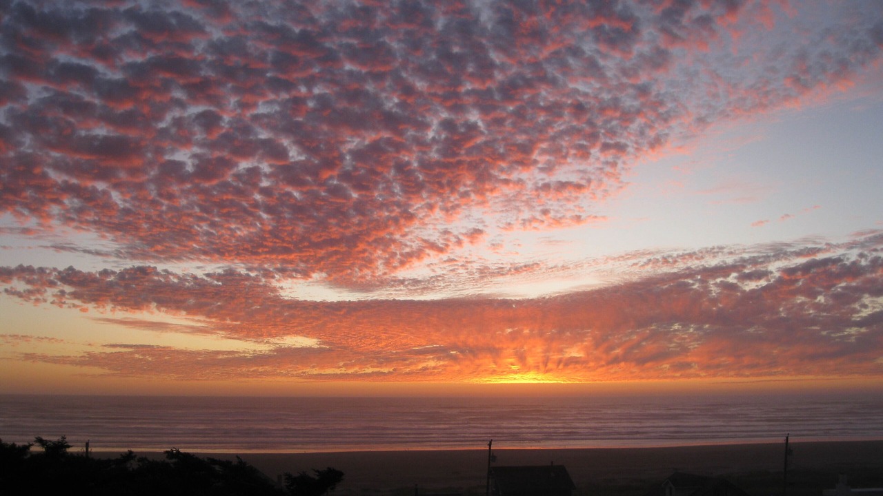 Photo of Others in Pacific Beach