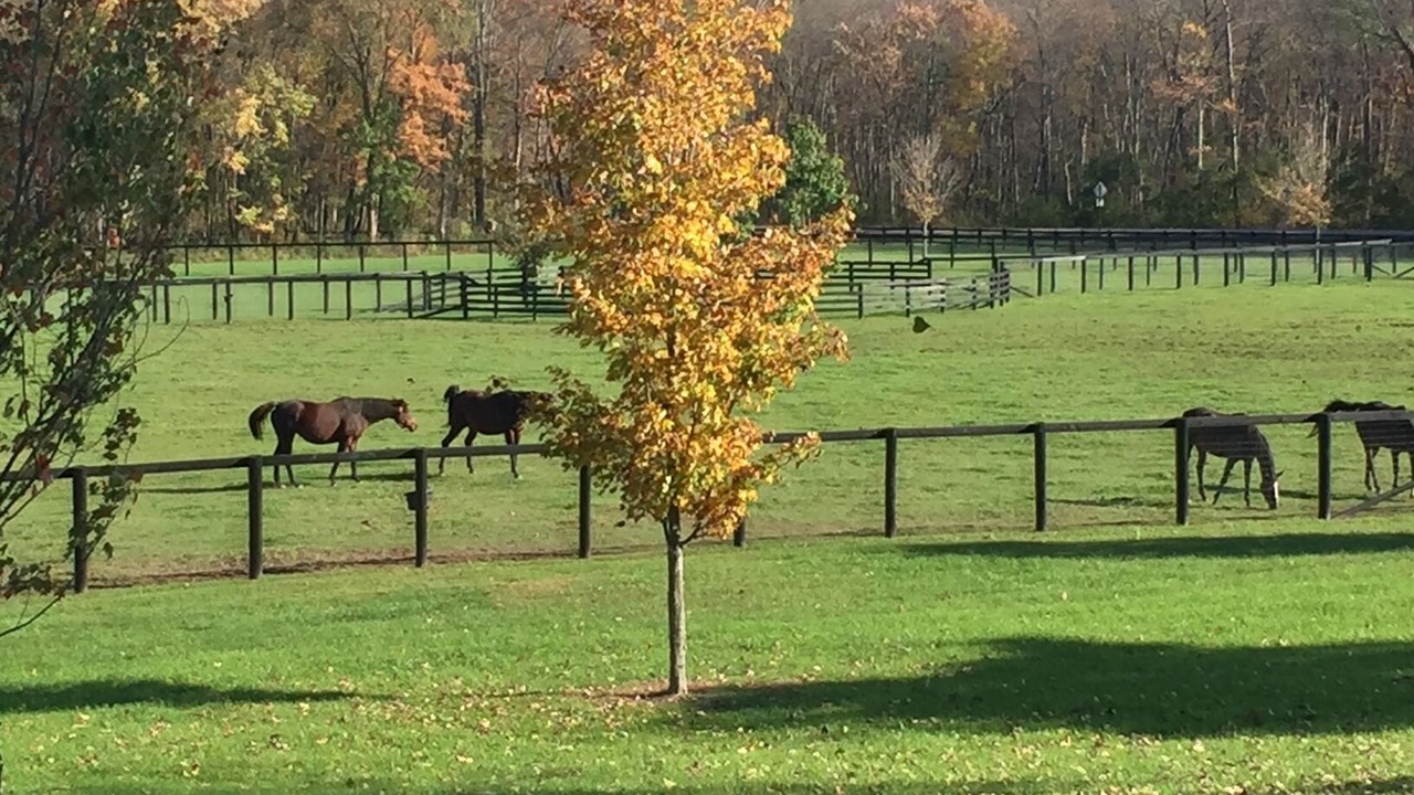 Photo of Others in Saratoga Springs