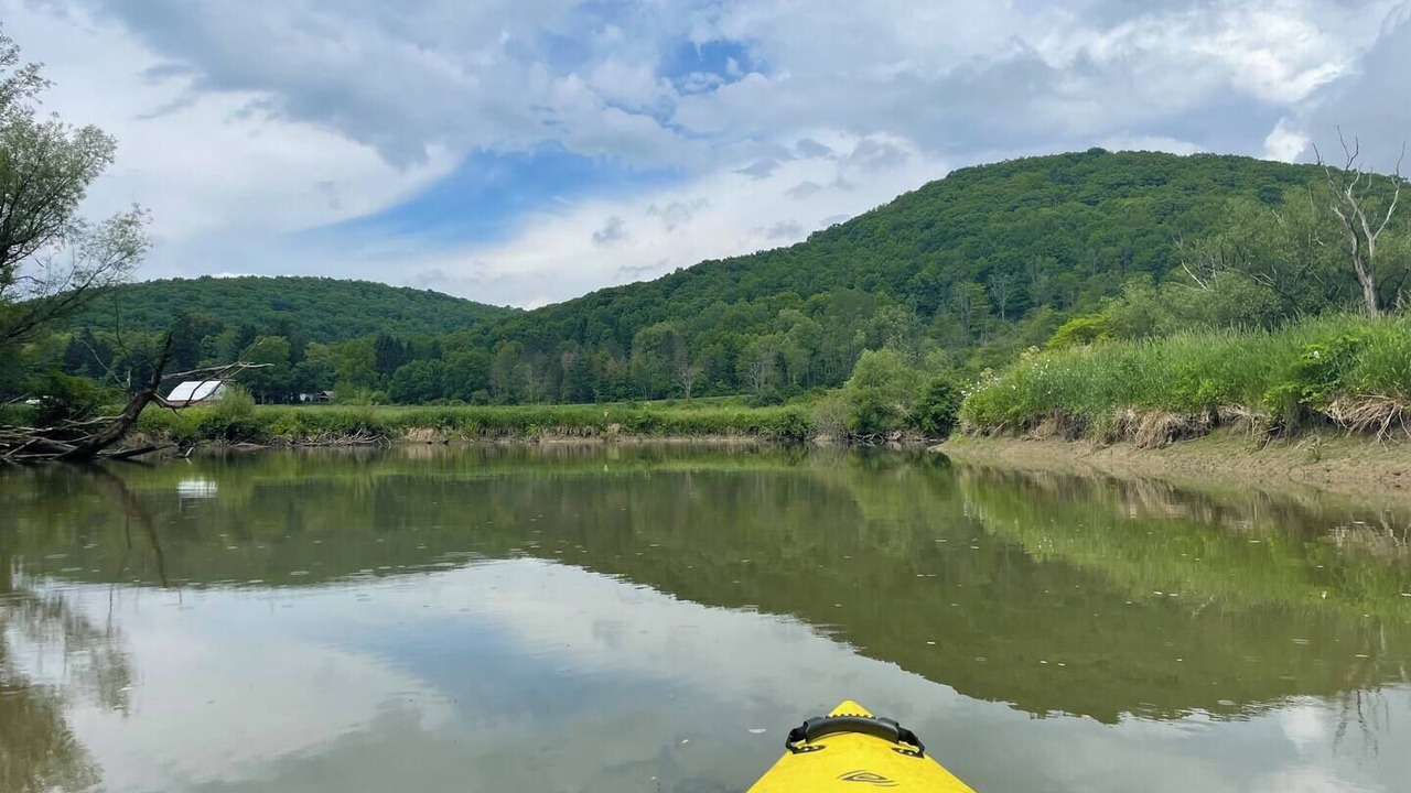 Photo of Others in Black Creek