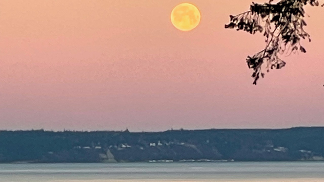 Photo of Others in Camano Island