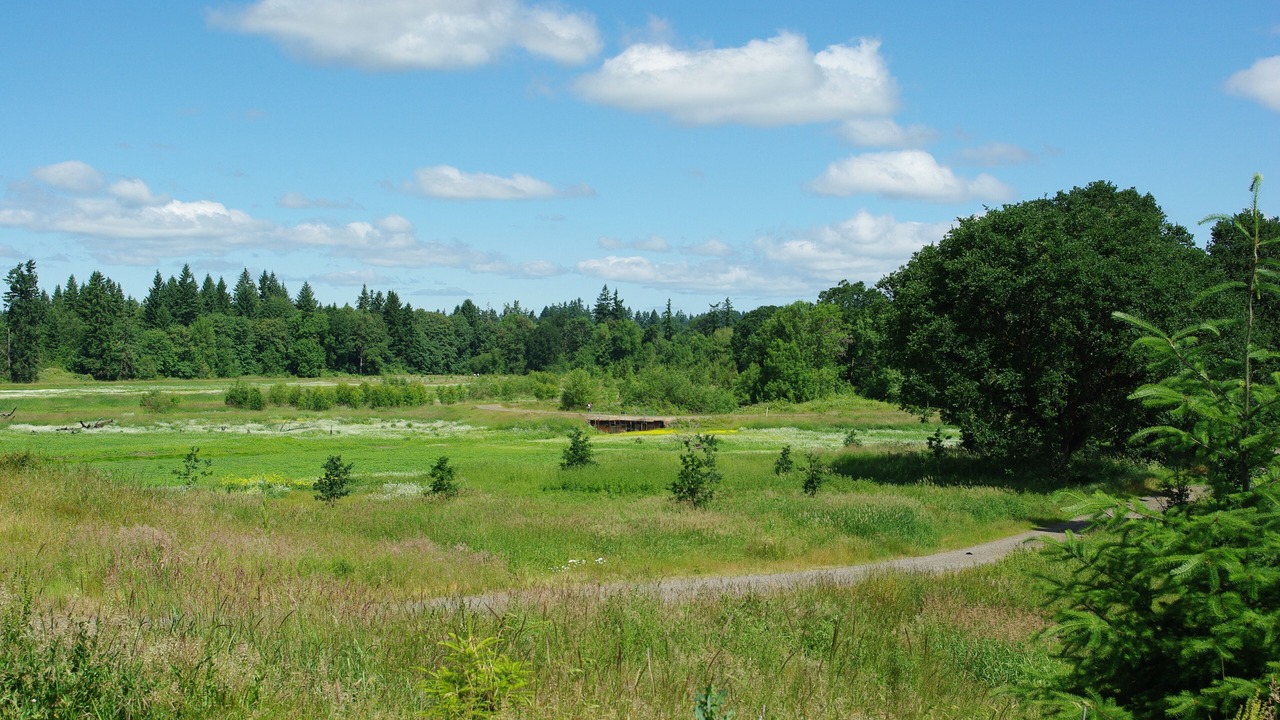 Photo of Others in Sherwood - Tualatin North