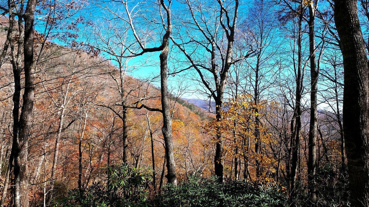 Photo of Others in Laurel Ridge