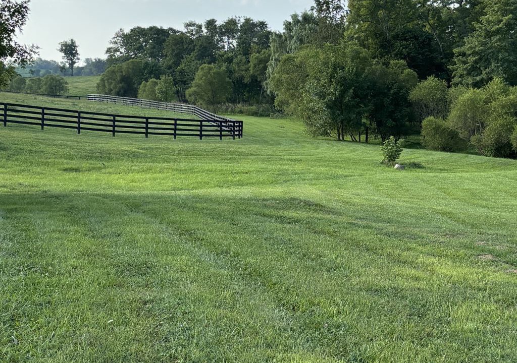 Photo of Outdoor in Rutland