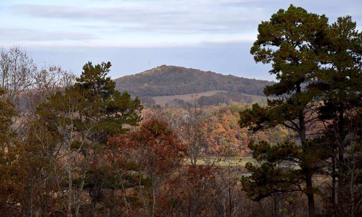 Photo of Outdoor in Blairsville