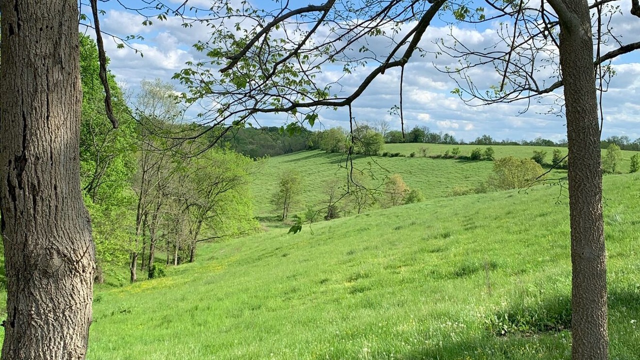 Photo of Others in Sardis