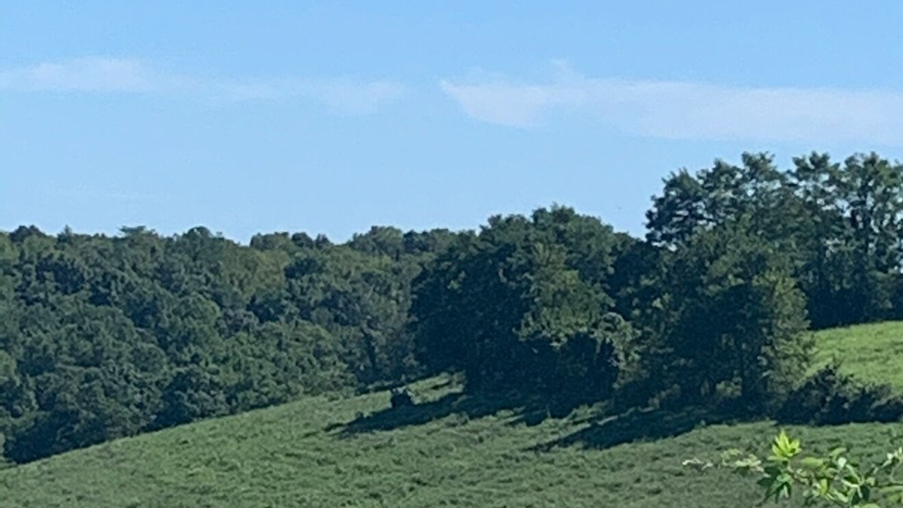 Photo of Others in Sardis