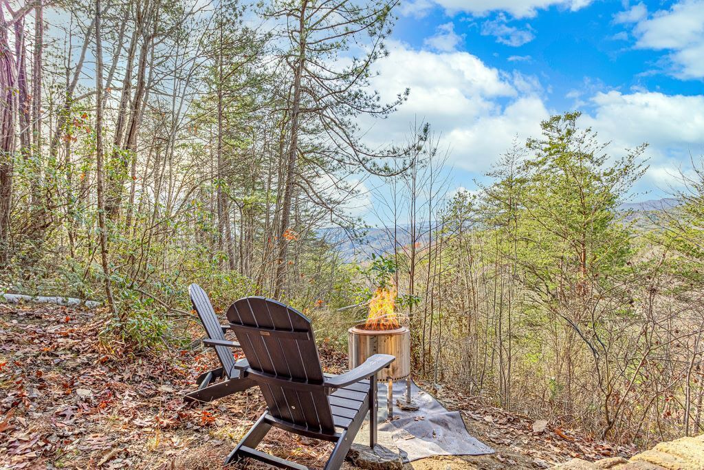 Photo of Outdoor in Brevard