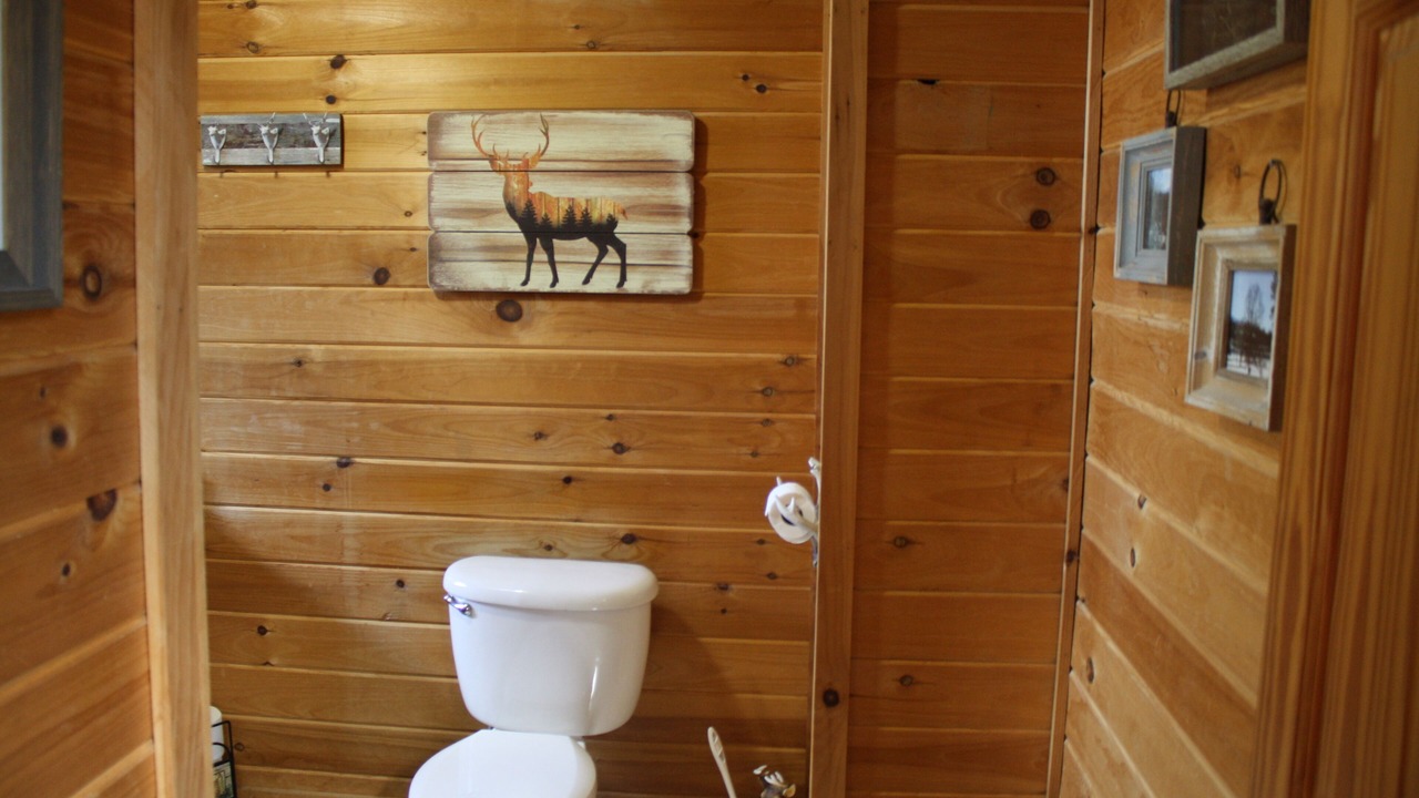 Photo of Bathroom in Sevierville