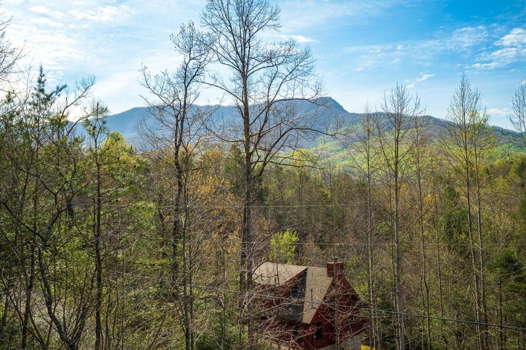 Photo of Outdoor in Pittman Center